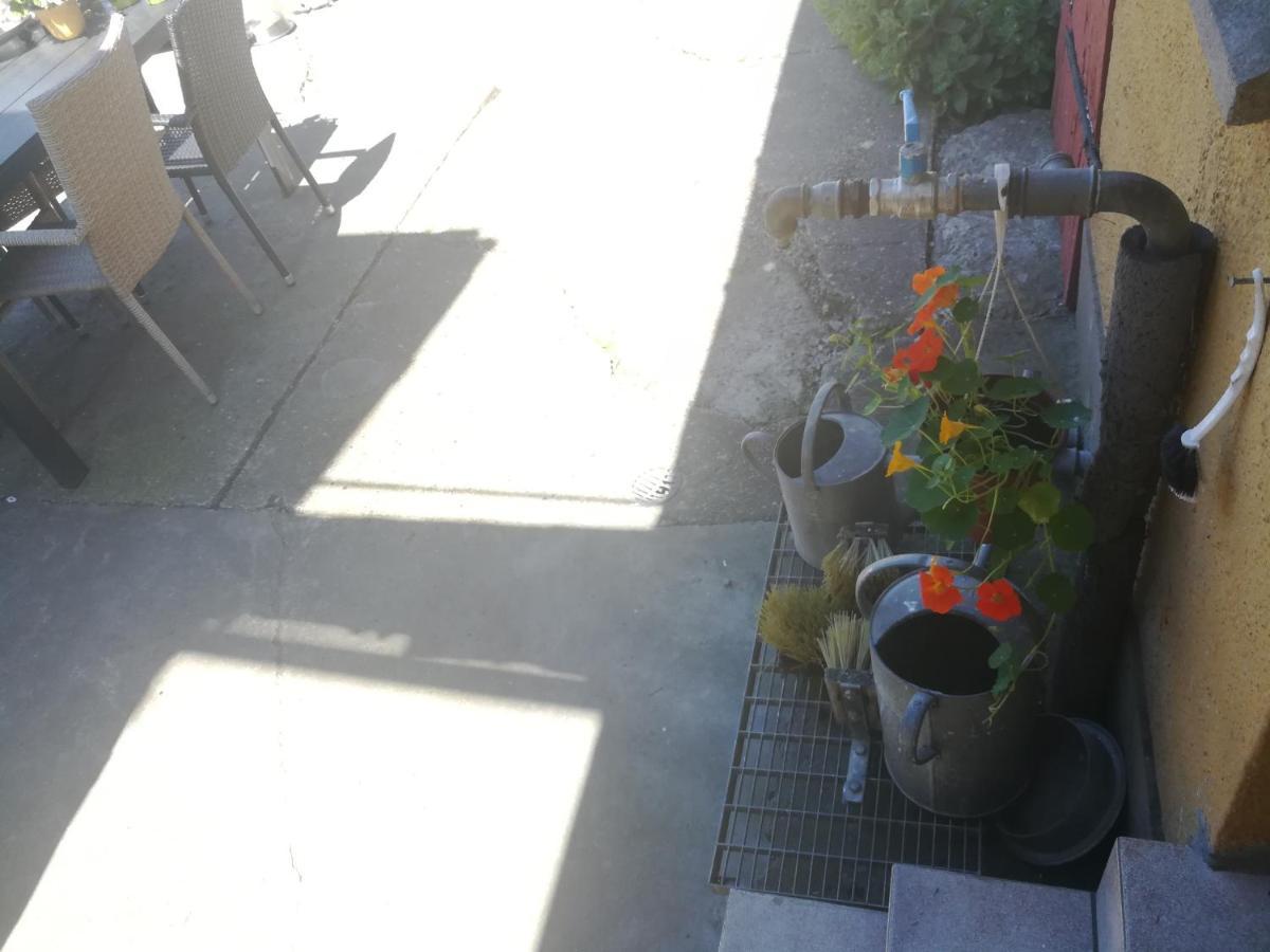Bed and Breakfast Nakednature Borre Екстер'єр фото